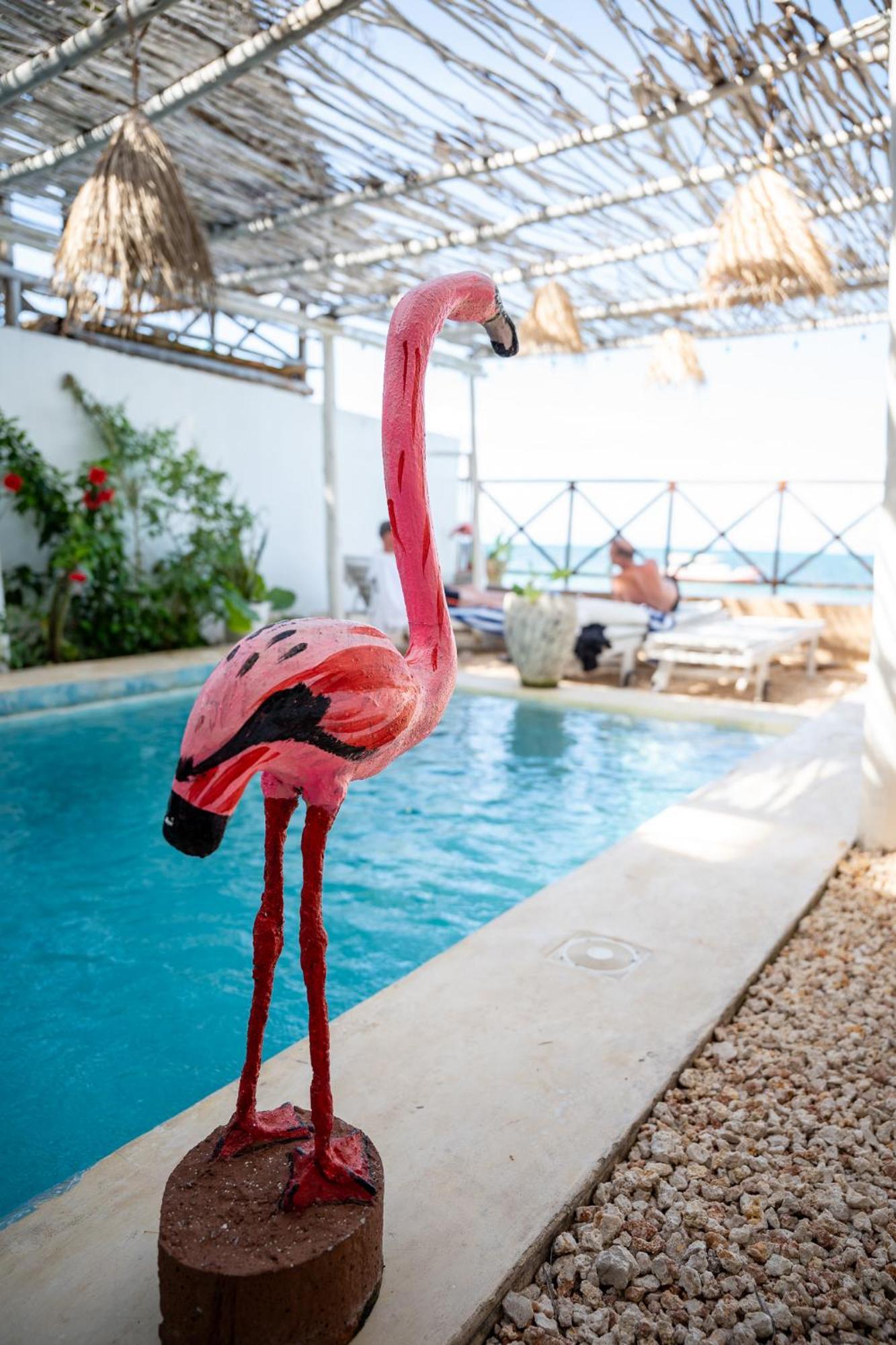 Pili Pili Boho Beach Jambiani  Exterior foto